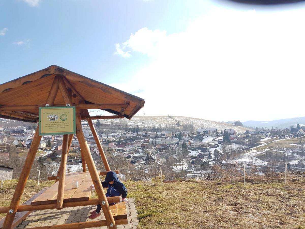 Unik Villa Sankt Andreasberg Bagian luar foto