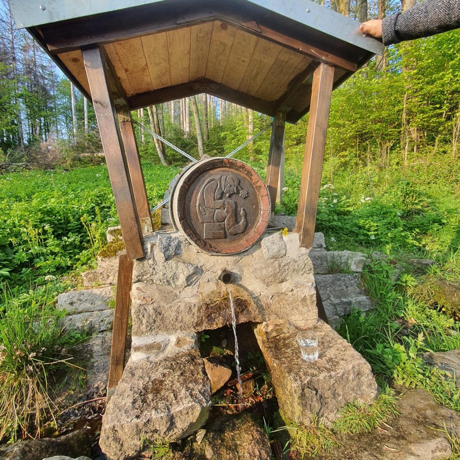 Unik Villa Sankt Andreasberg Bagian luar foto